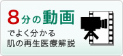 8ʬ��ư��Ǥ褯ʬ����ȩ�κ�������