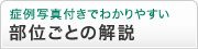����̿��դ��Ǥ狼��䤹�����̤��Ȥβ���
