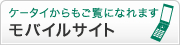 ��Х��륵����