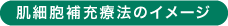 ȩ��˦�佼��ˡ�Υ��᡼��