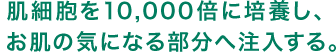ȩ��˦��10,000�ܤ����ܤ�����ȩ�ε��ˤʤ���ʬ���������롣