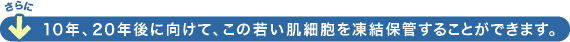 10ǯ��20ǯ��˸����ơ����μ㤤ȩ��˦������ݴɤ��뤳�Ȥ��Ǥ��ޤ���