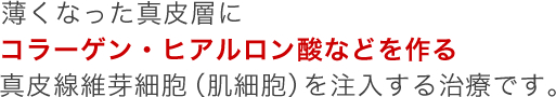 �����ʤä������ؤ�ȩ��˦���������ޤ�