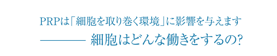 細胞はどんな働きをするのか