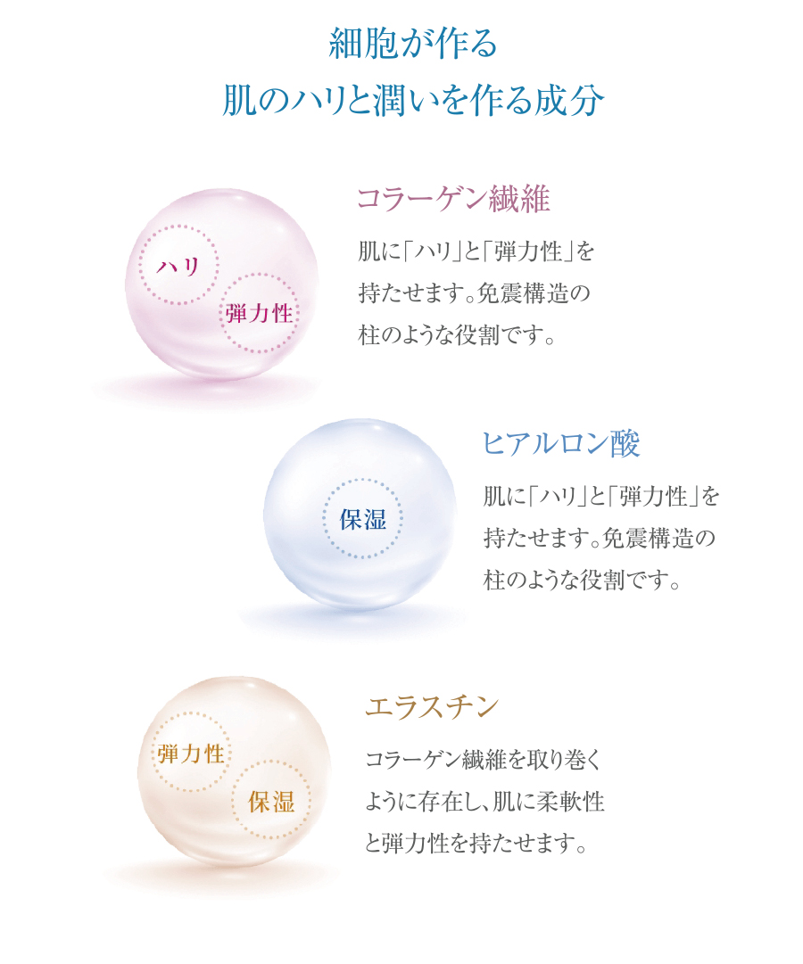 肌のハリと潤いを作る成分