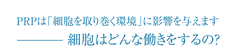 細胞はどんな働きをするのか