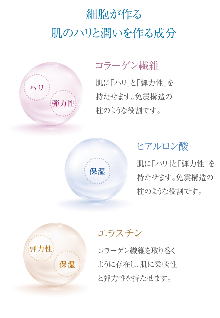 肌のハリと潤いを作る成分