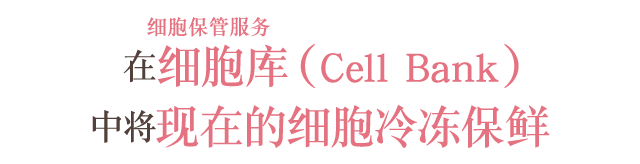 细胞保管服务　在细胞库（Cell Bank）中将现在的细胞冷冻保鲜
