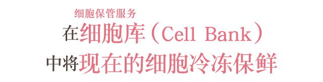 细胞保管服务　在细胞库（Cell Bank）中将现在的细胞冷冻保鲜
