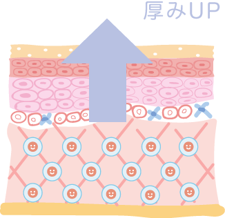 厚みＵＰ！