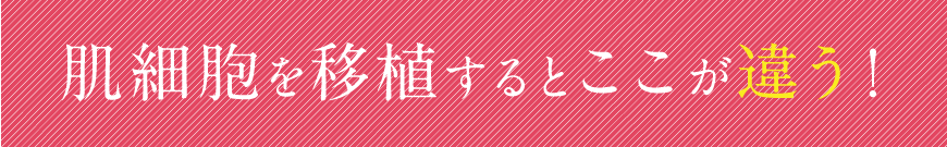 肌細胞を移植するとここが違う！