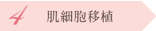 4.血小板注入、肌細胞移植