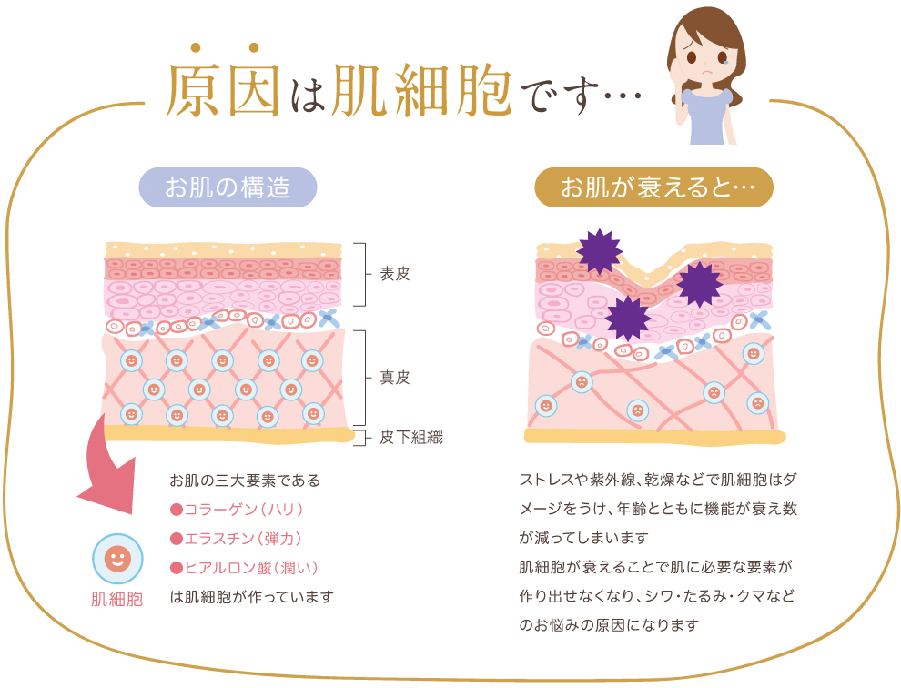 原因は肌細胞です