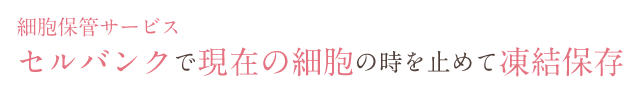 細胞保管サービス　セルバンクで現在の細胞の時を止めて凍結保存