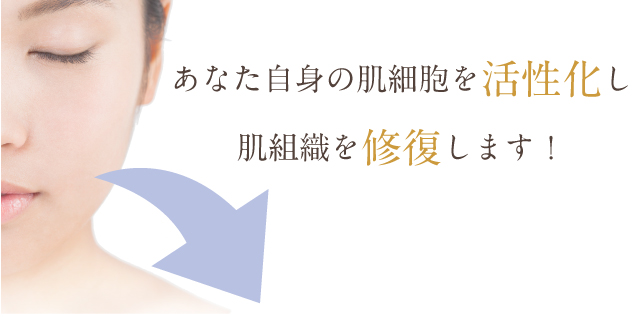 あなた自身の肌細胞を活性化し肌組織を修復します